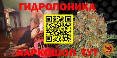 гидропоника Мариинск