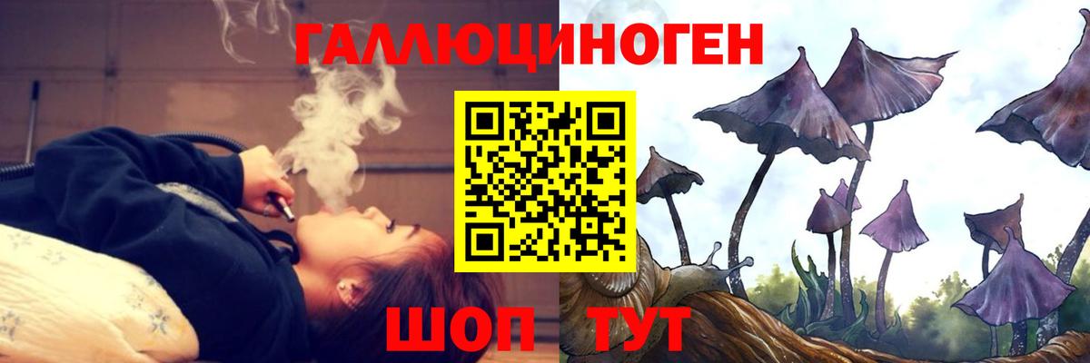 Зеленодольск  Галлюциногенные грибы Cubensis  Вход с VPN 
